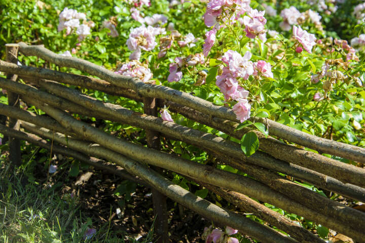 dobar Beeteinfassungen aus Haselnuss